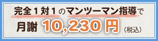 完全1対1のマンツーマン指導で月謝10,230円(税込)